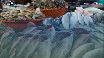 أسعار السمك في مصر الجمعة تتباين حسب النوع والمنطقة